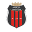 emblema do Al Riyadh