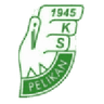 Pelikan Łowicz