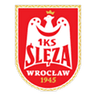 Ślęza Wrocław