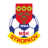 MSK Tesla Stropkov