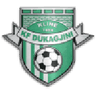 Dukagjini