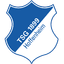 emblema do 1899 Hoffenheim