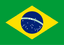 emblema do Brazil W
