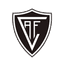 emblema do Academico Viseu