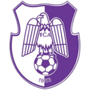 Arges Pitesti