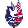 Fagiano Okayama