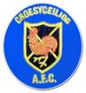 Croesyceiliog AFC