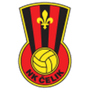 Čelik